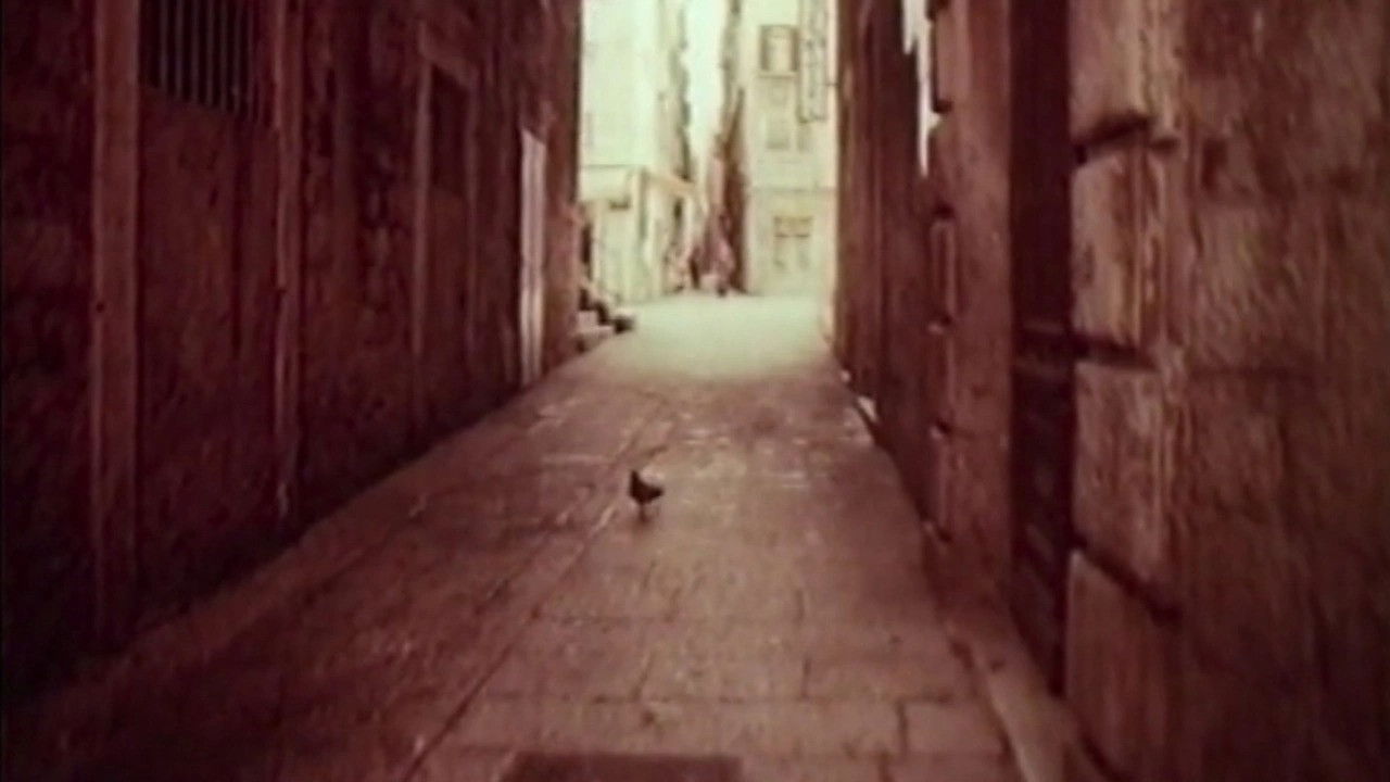 Backdrop for Way Out