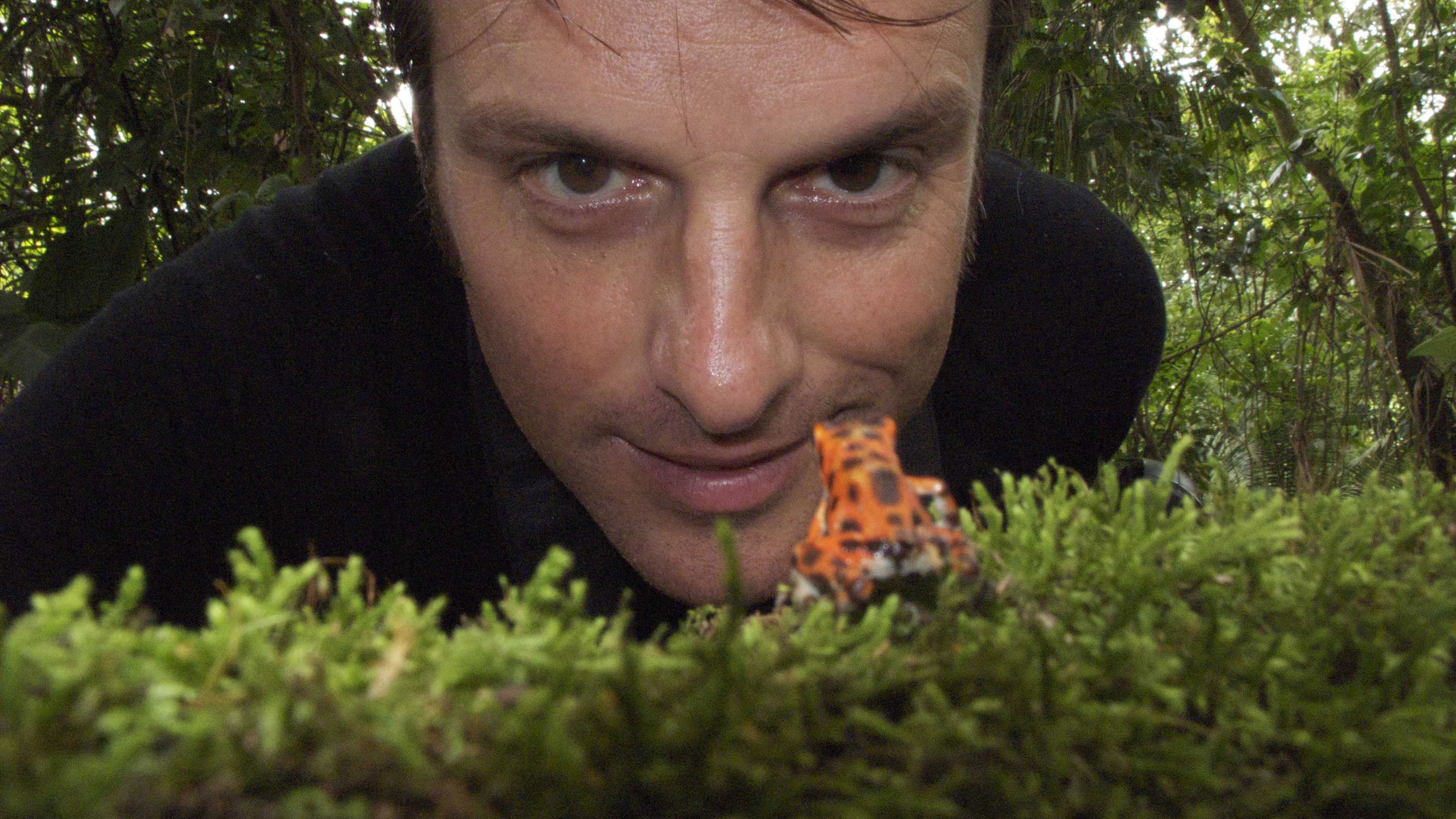 Backdrop for Nick Baker's Weird Creatures