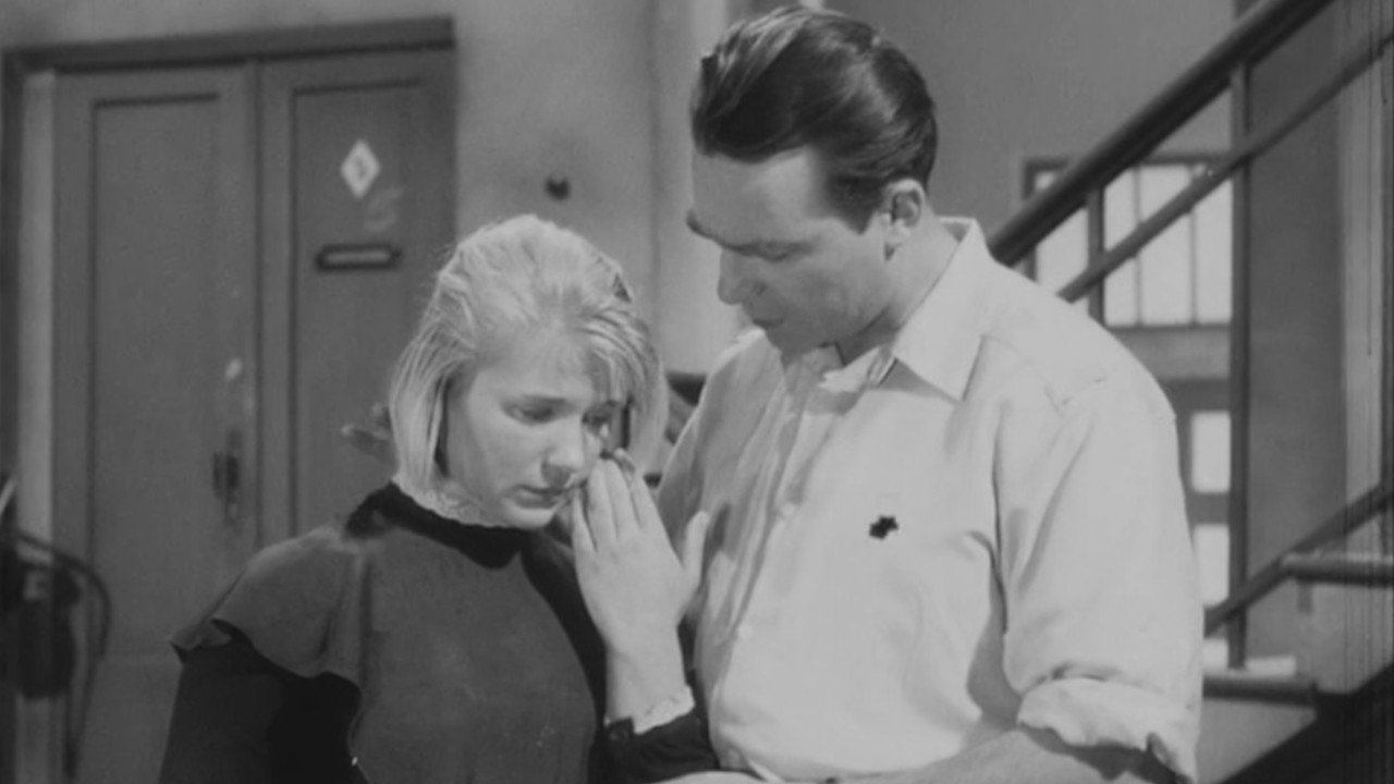 Backdrop for The Wild Dog Dingo