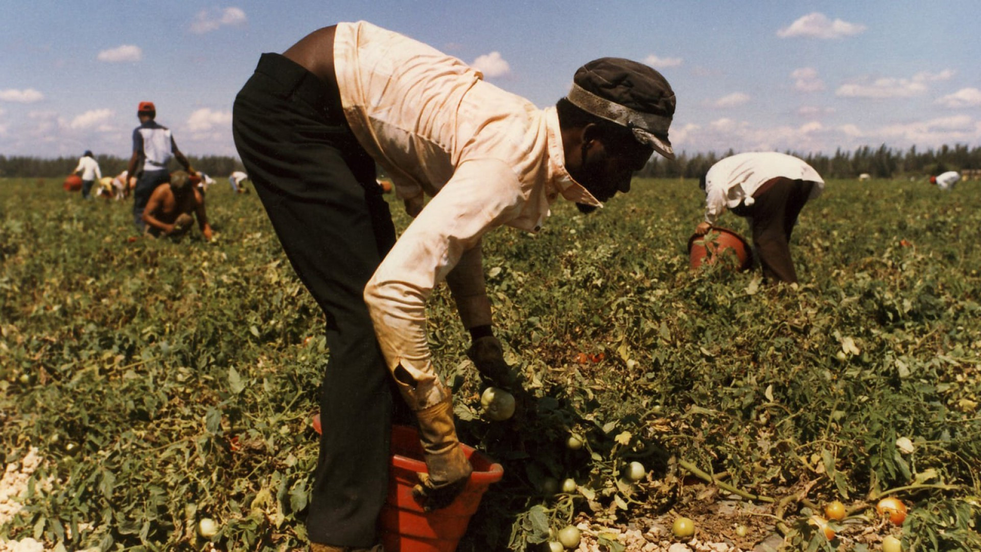 Backdrop for … And the Pursuit of Happiness