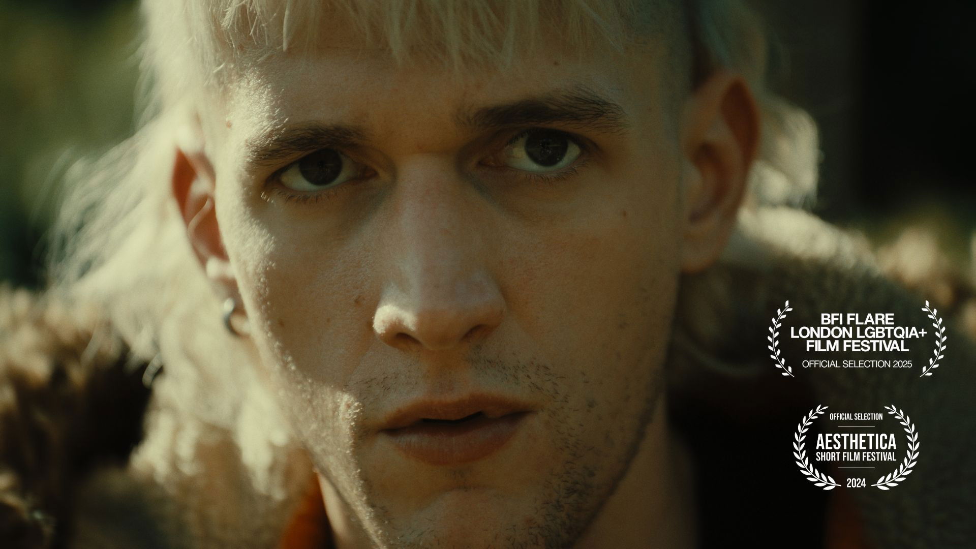 Backdrop for DEMONBOY