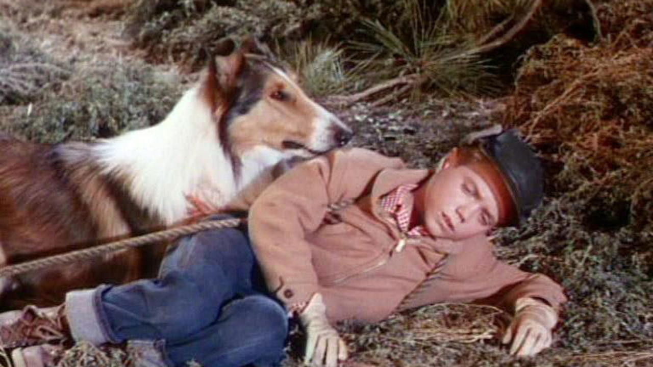 Backdrop for Lassie's Greatest Adventure