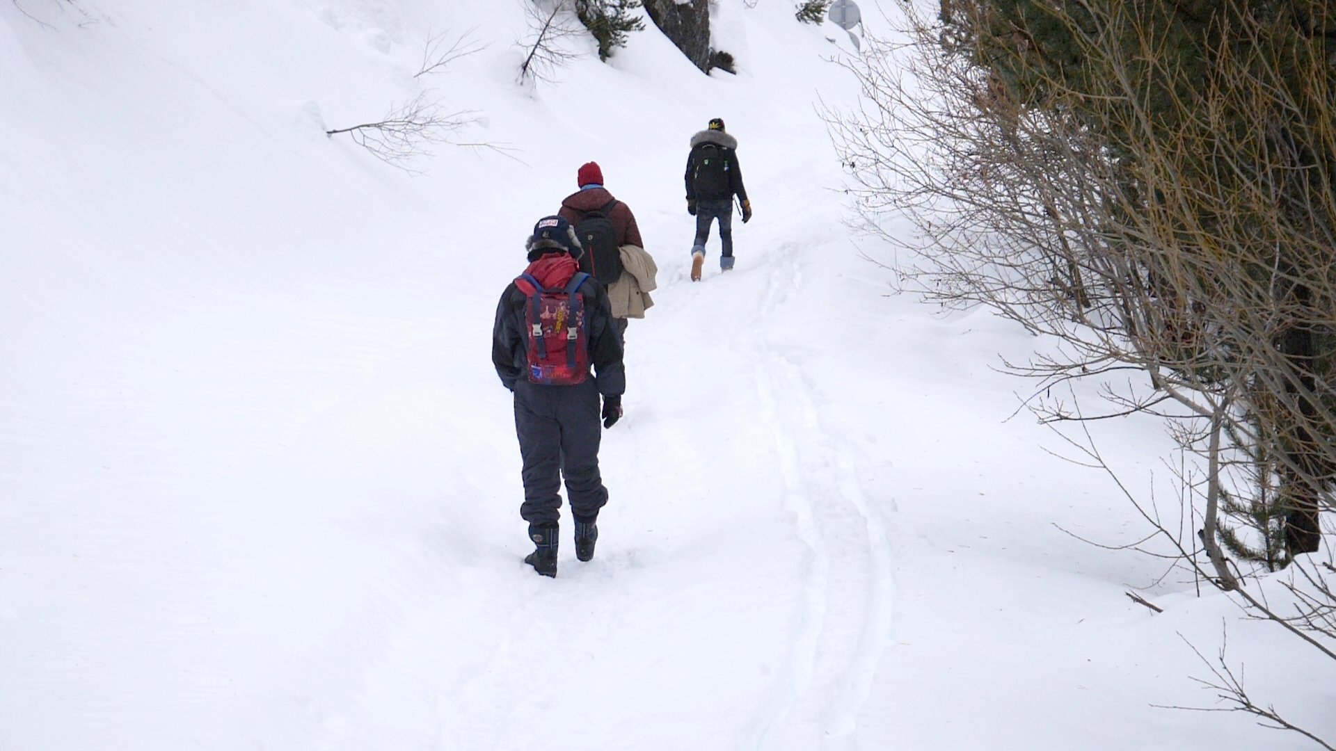 Backdrop for The Milky Way