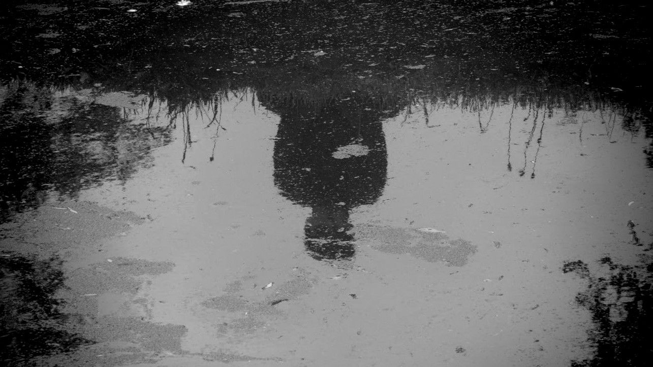 Backdrop for Narcissus