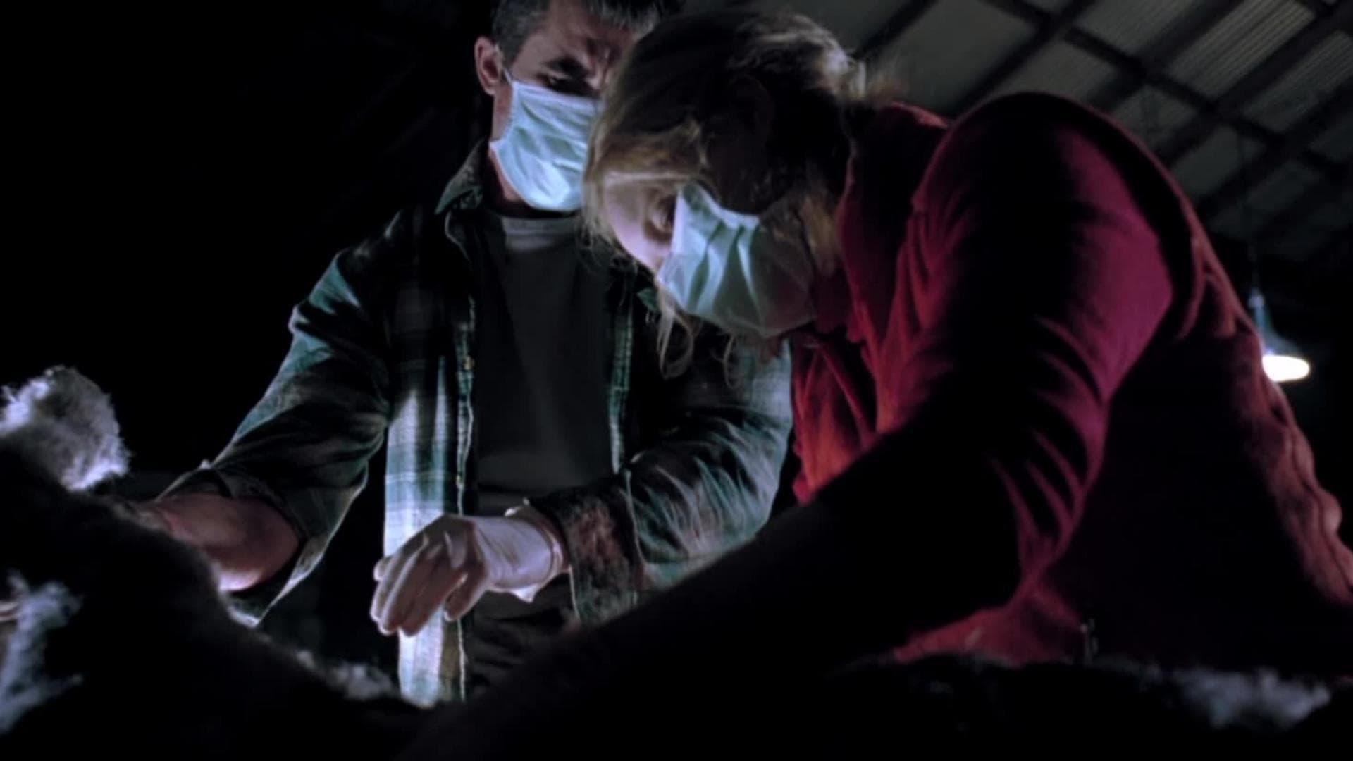 Backdrop for Isolation