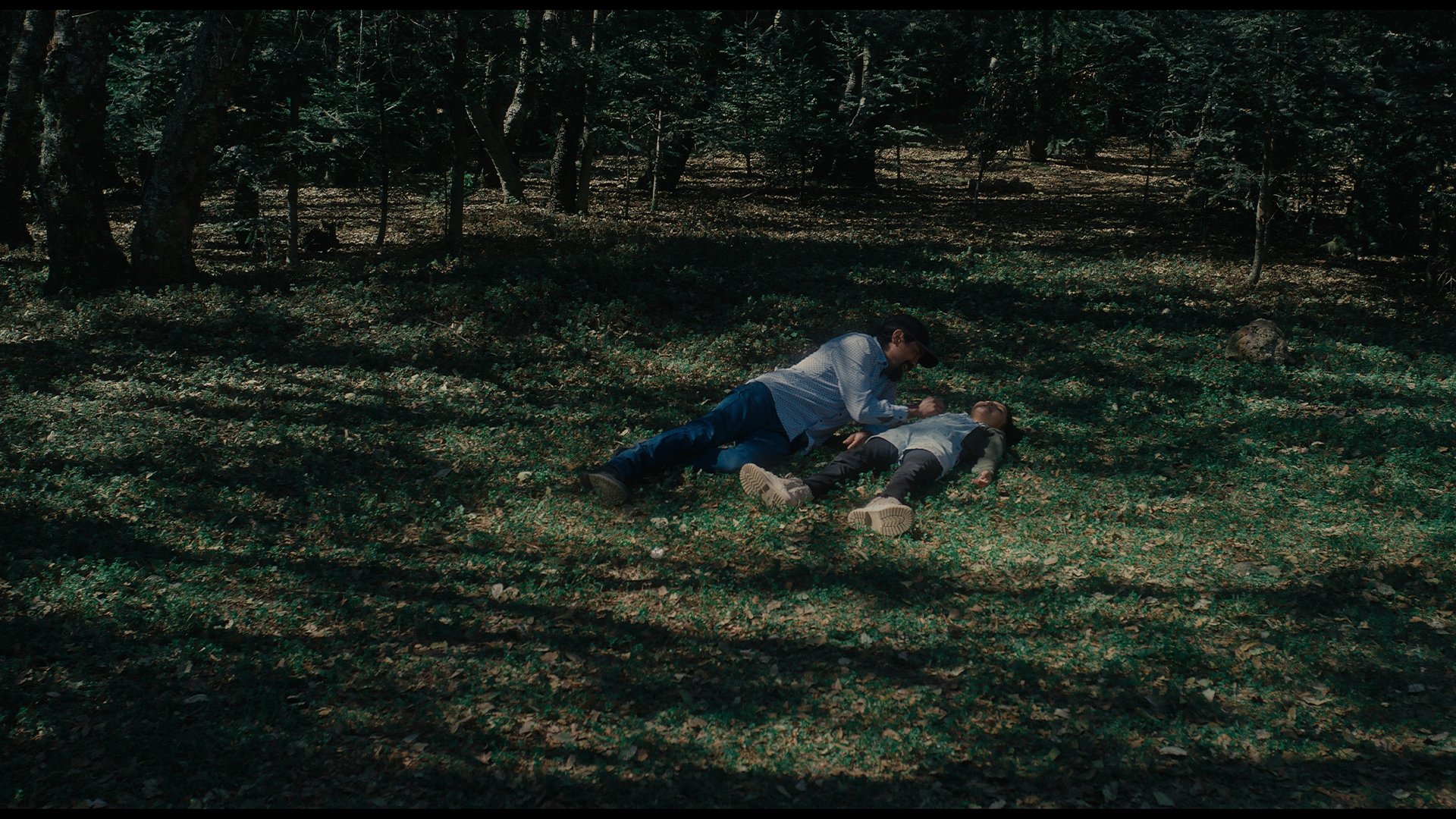 Backdrop for Old Well