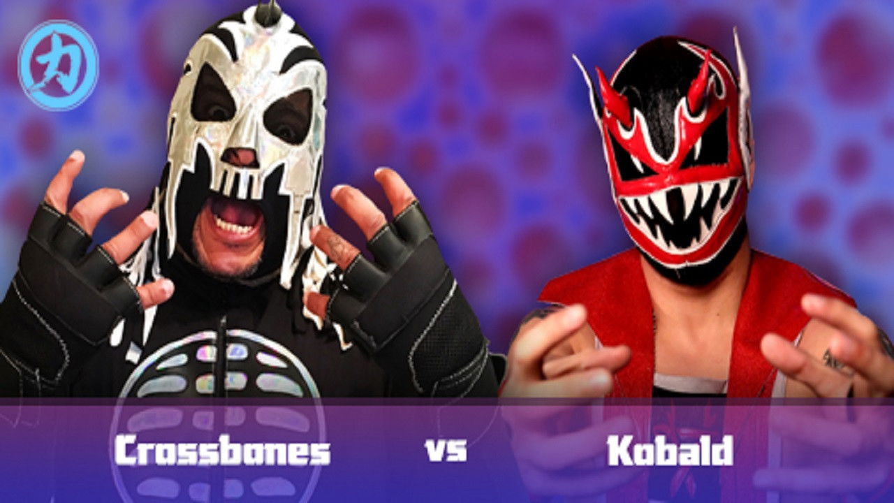 Backdrop for CHIKARA Revenge Of The Lawn Gnomes 2018