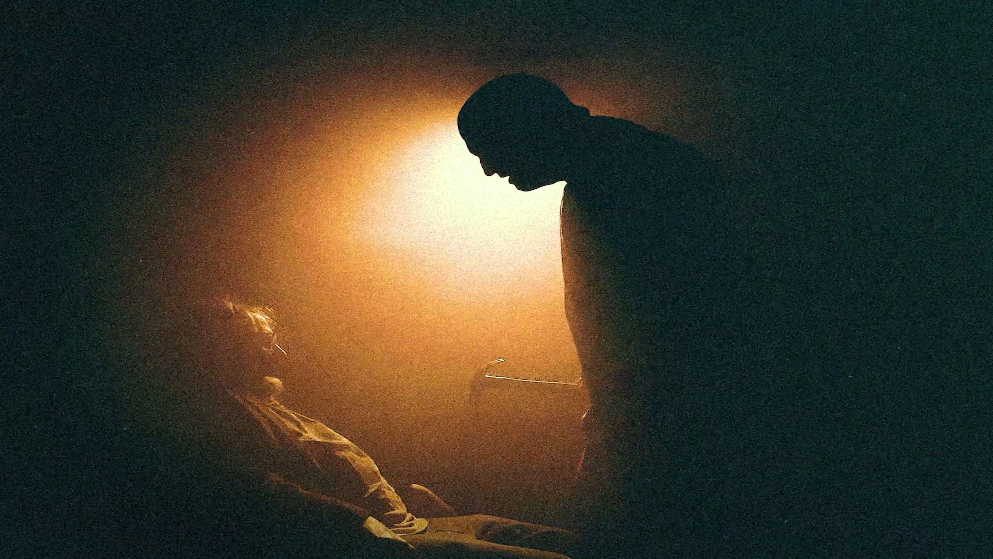 Backdrop for MUSTARD