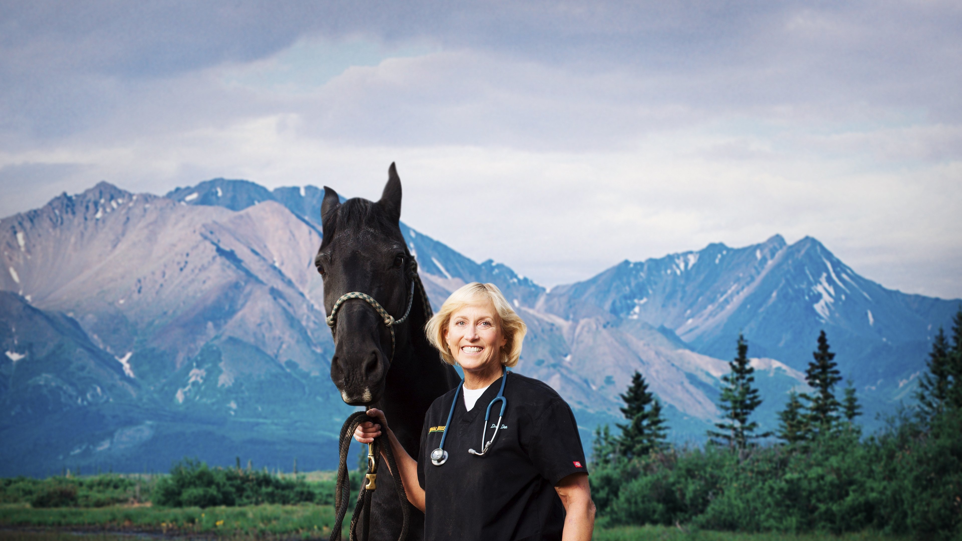 Backdrop for Dr. Dee: Alaska Vet