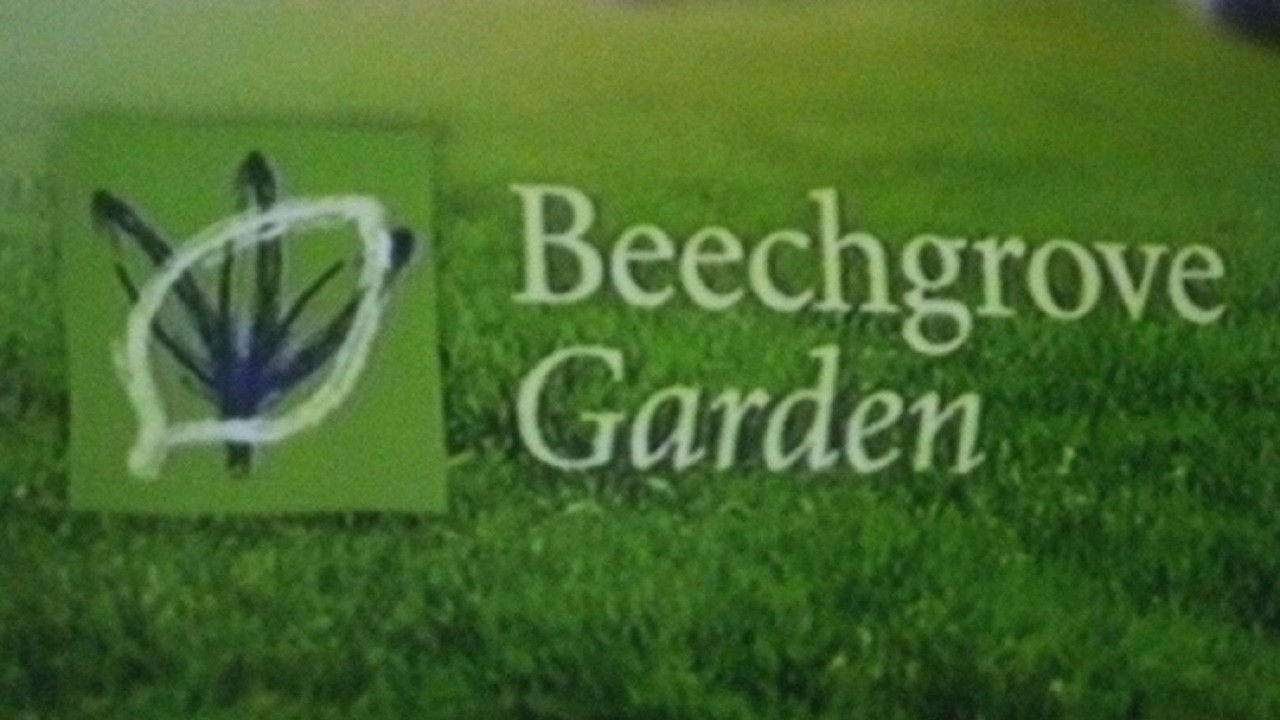 Backdrop for Beechgrove
