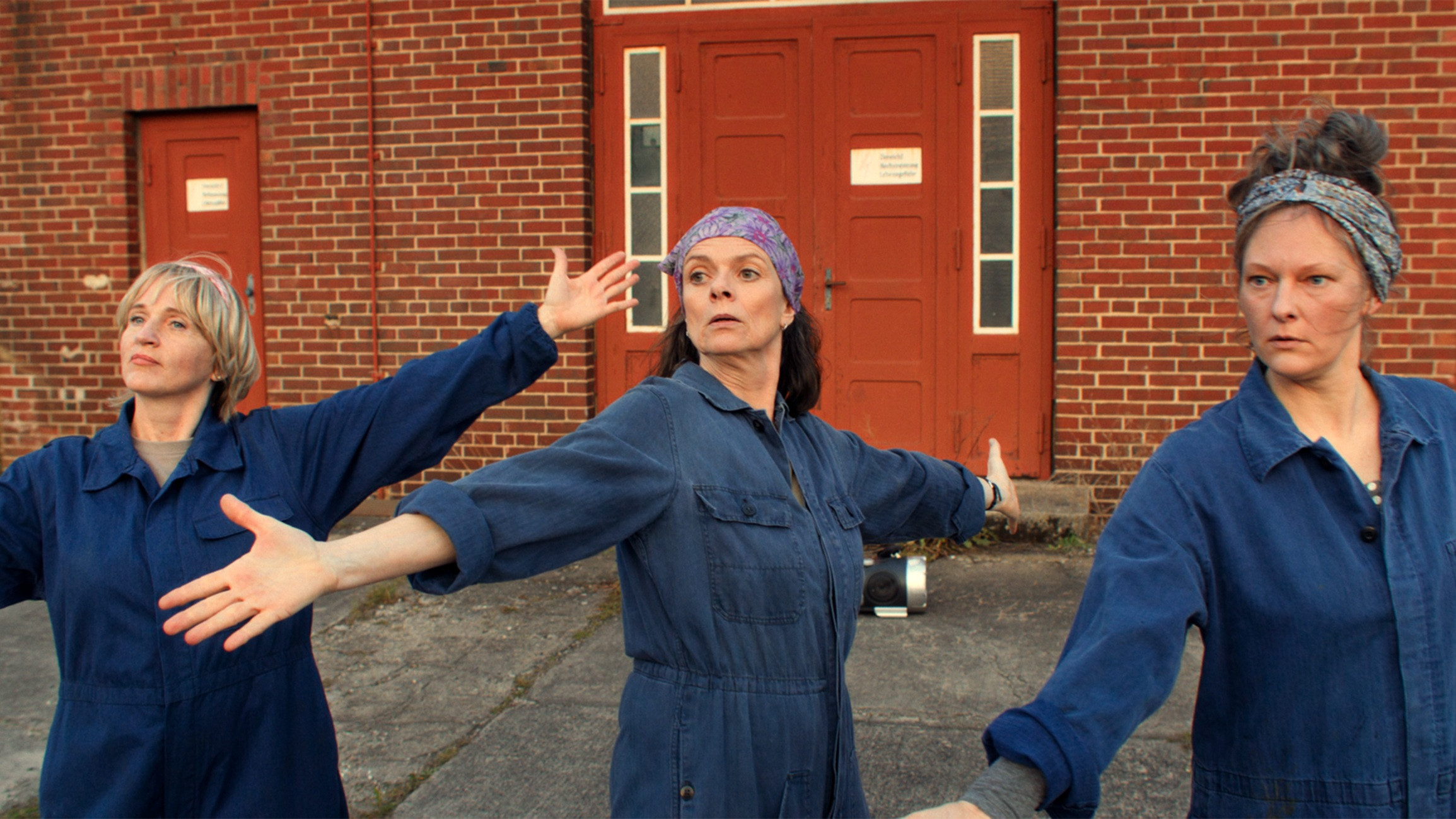 Backdrop for Wilma will mehr