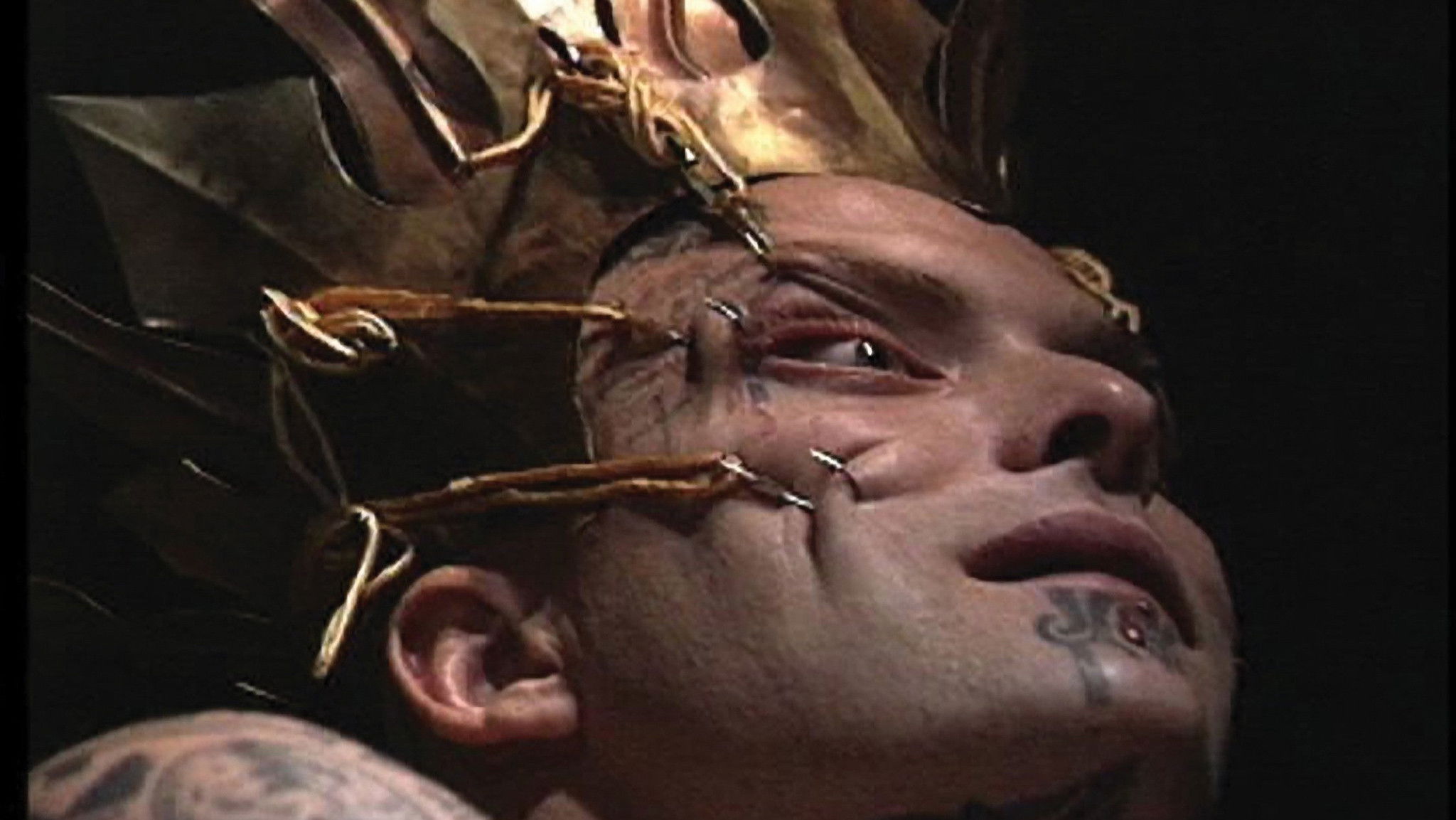 Backdrop for Solar Anus