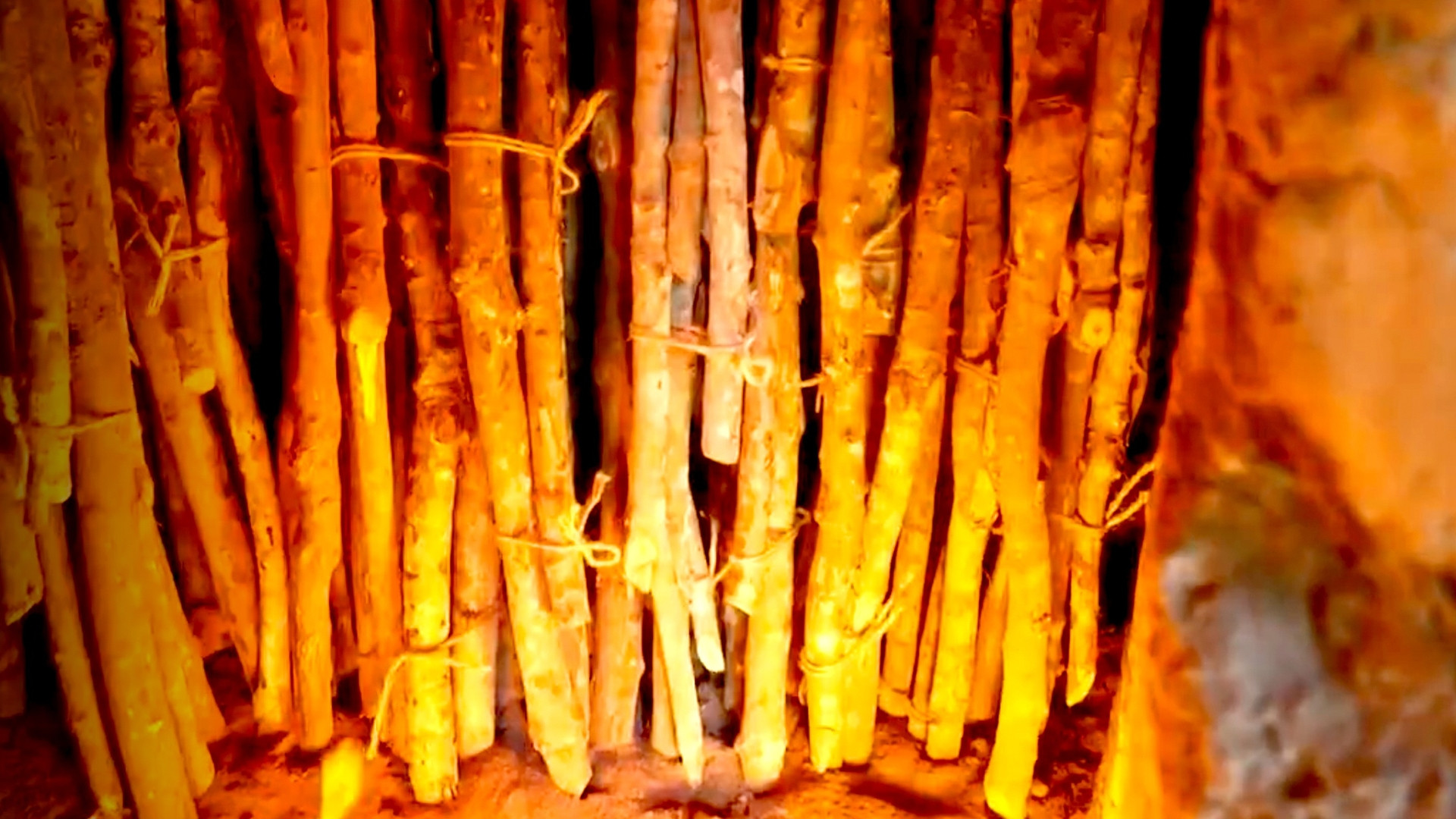 Backdrop for A Culture Built with Wood