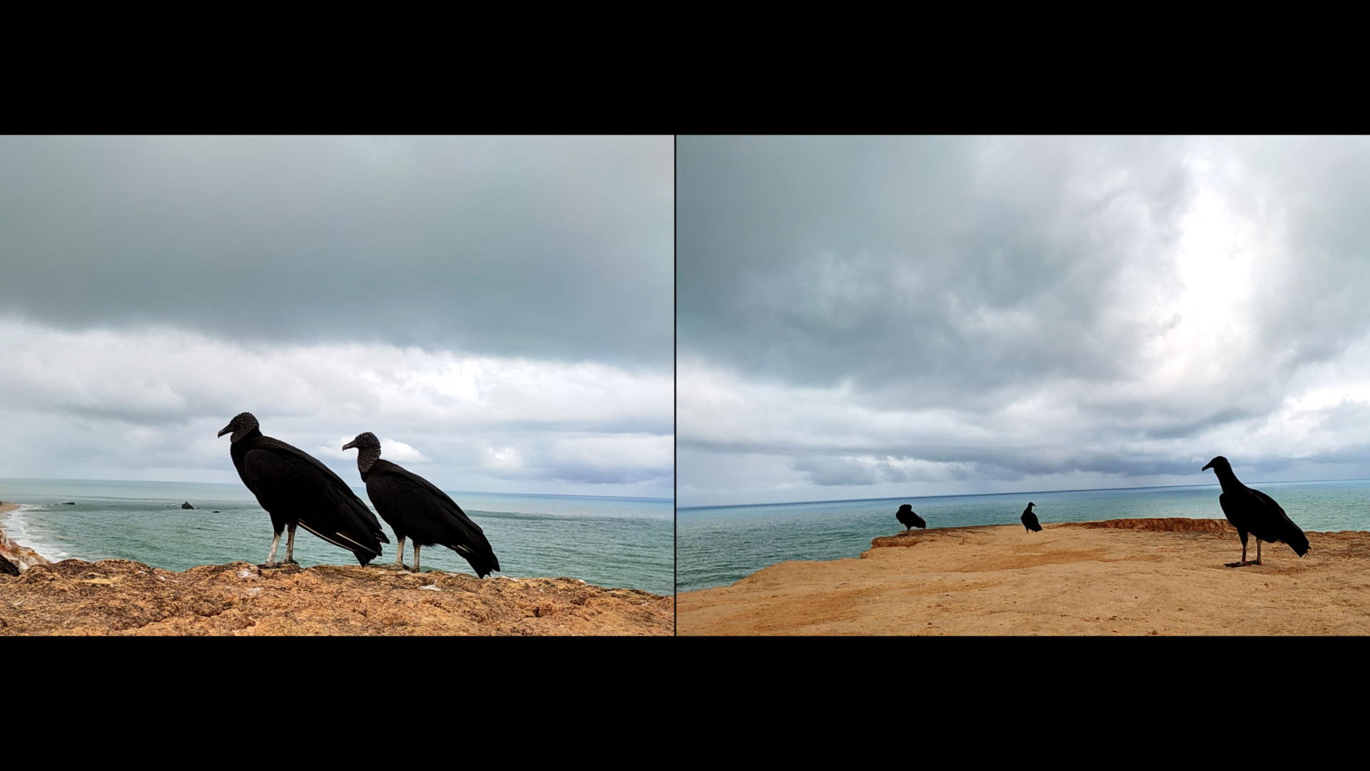 Backdrop for Cartas de Arapuca