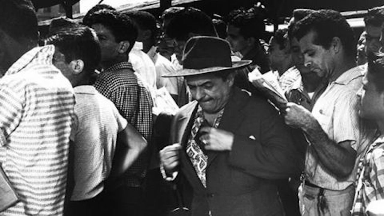 Backdrop for O Batedor de Carteiras