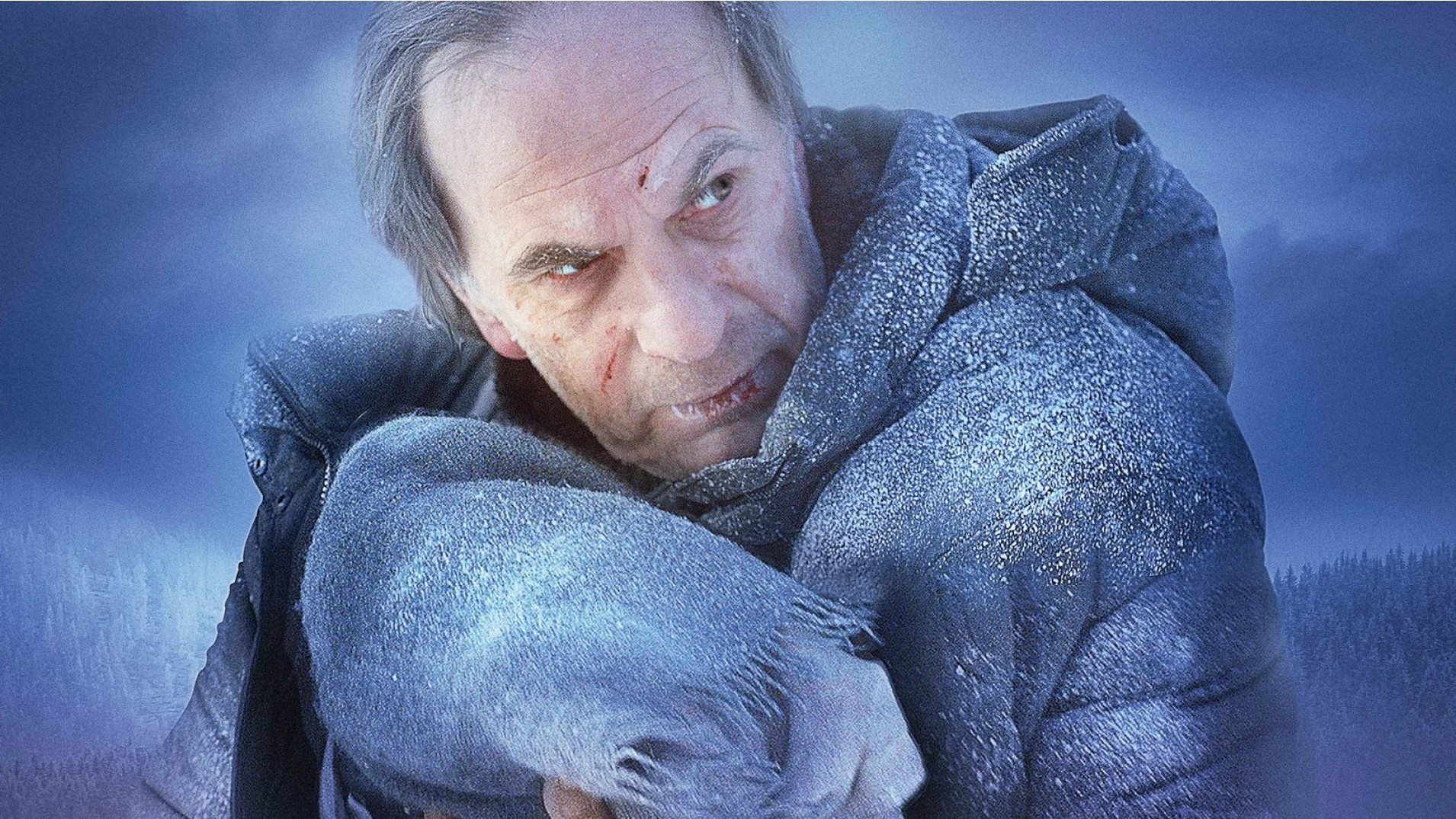 Backdrop for The Find