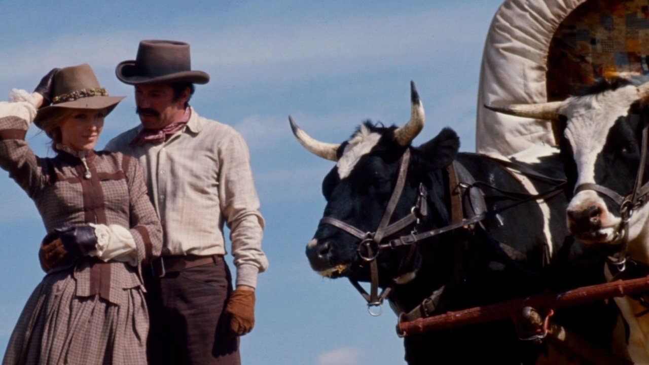 Backdrop for Pioneer Woman