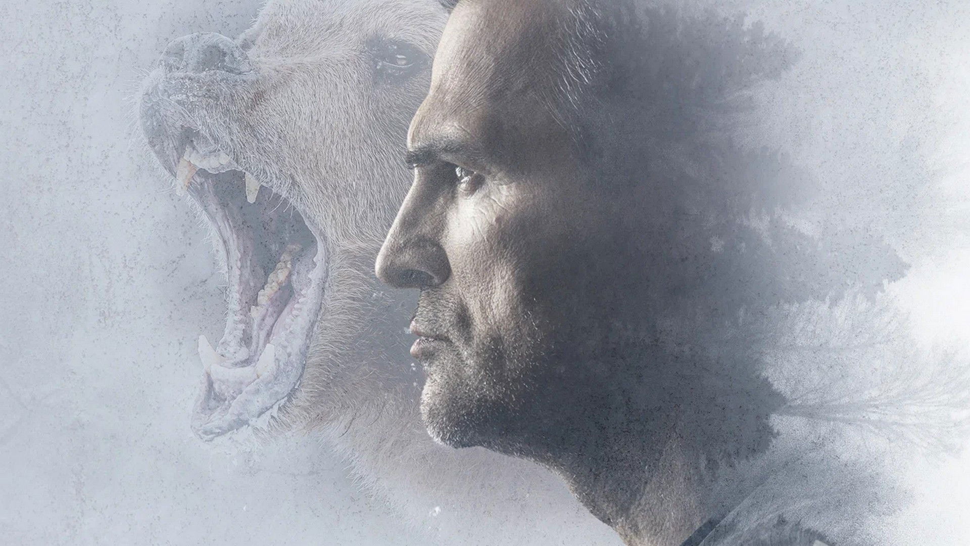 Backdrop for Закон тайги