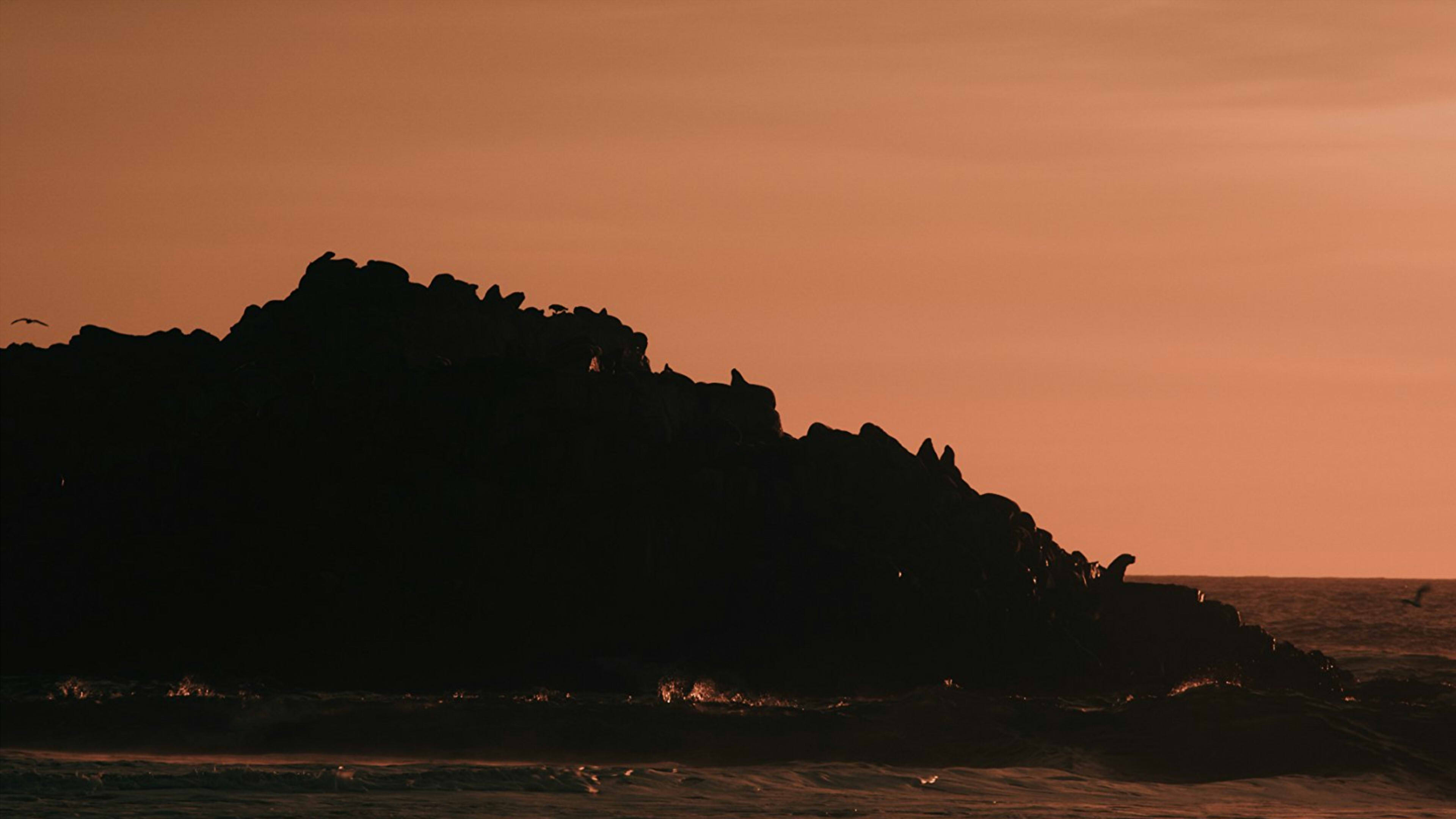 Backdrop for The Dawn of the Ancients