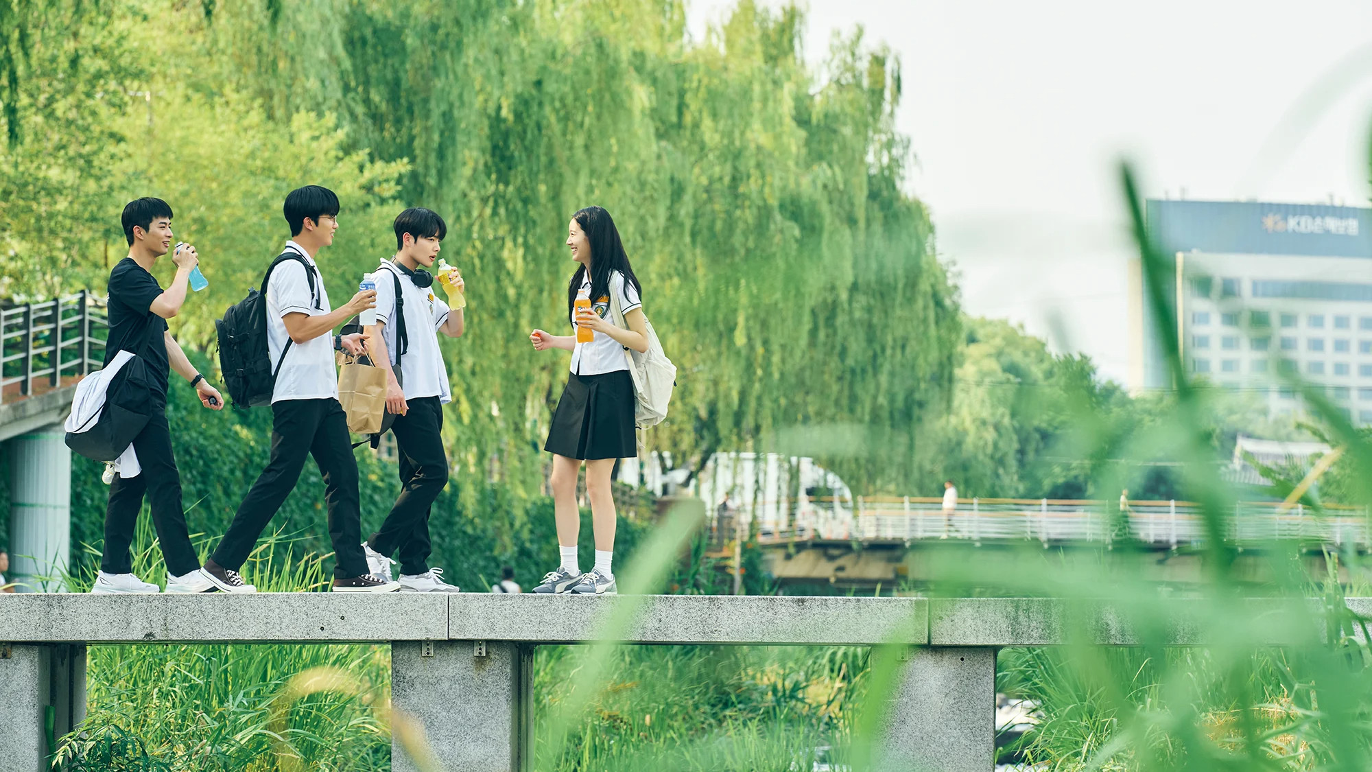 Backdrop for Our Beautiful Summer