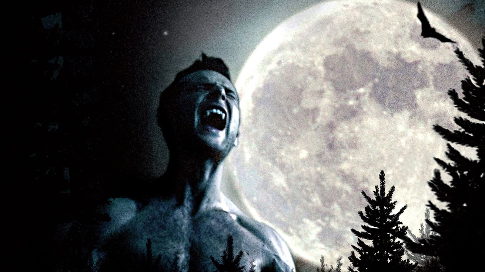 Backdrop for McFly: Nowhere Left to Run