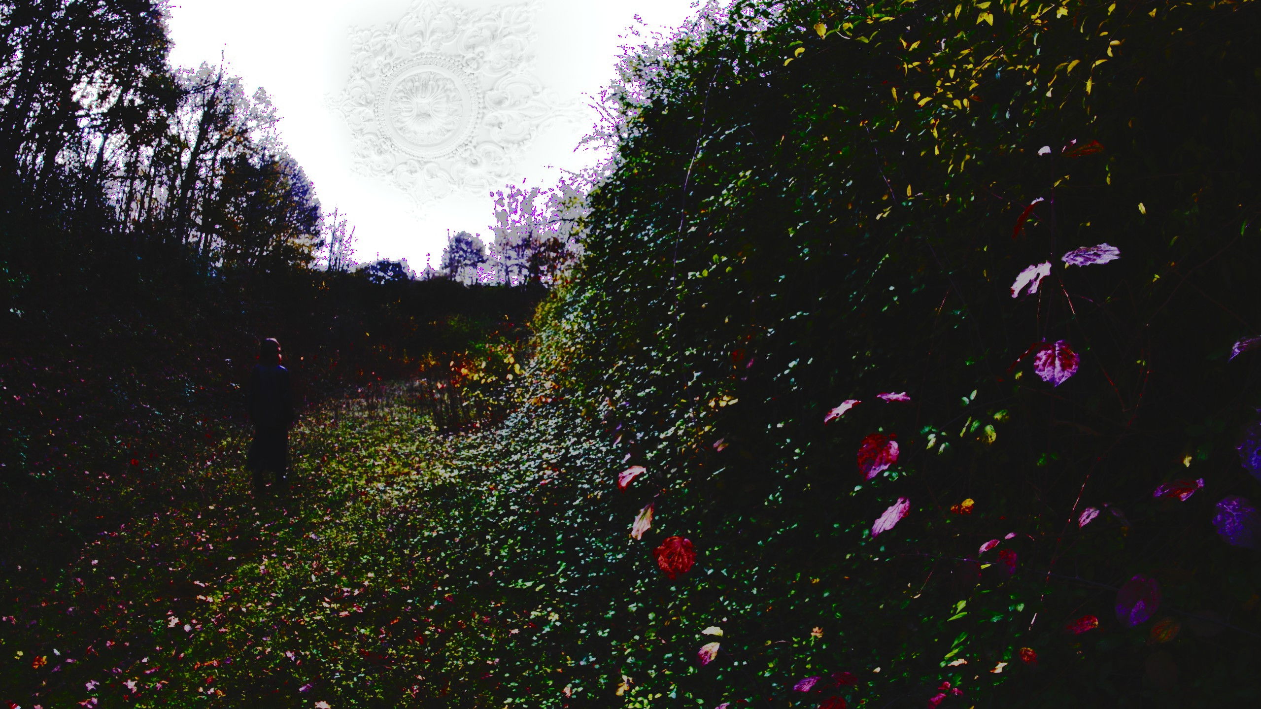 Backdrop for La Voie