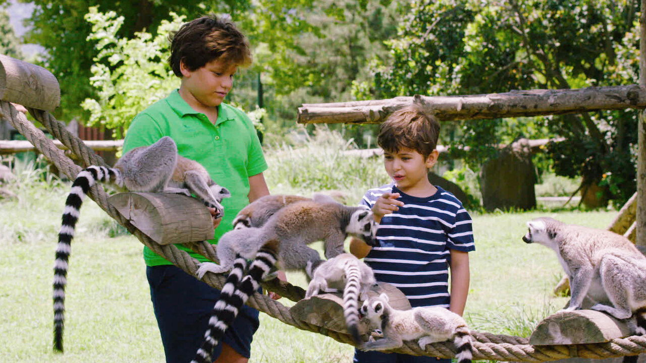 Backdrop for Talking Animals