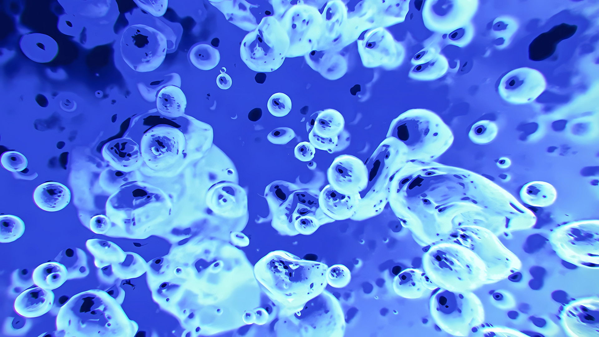 Backdrop for Liquid Television