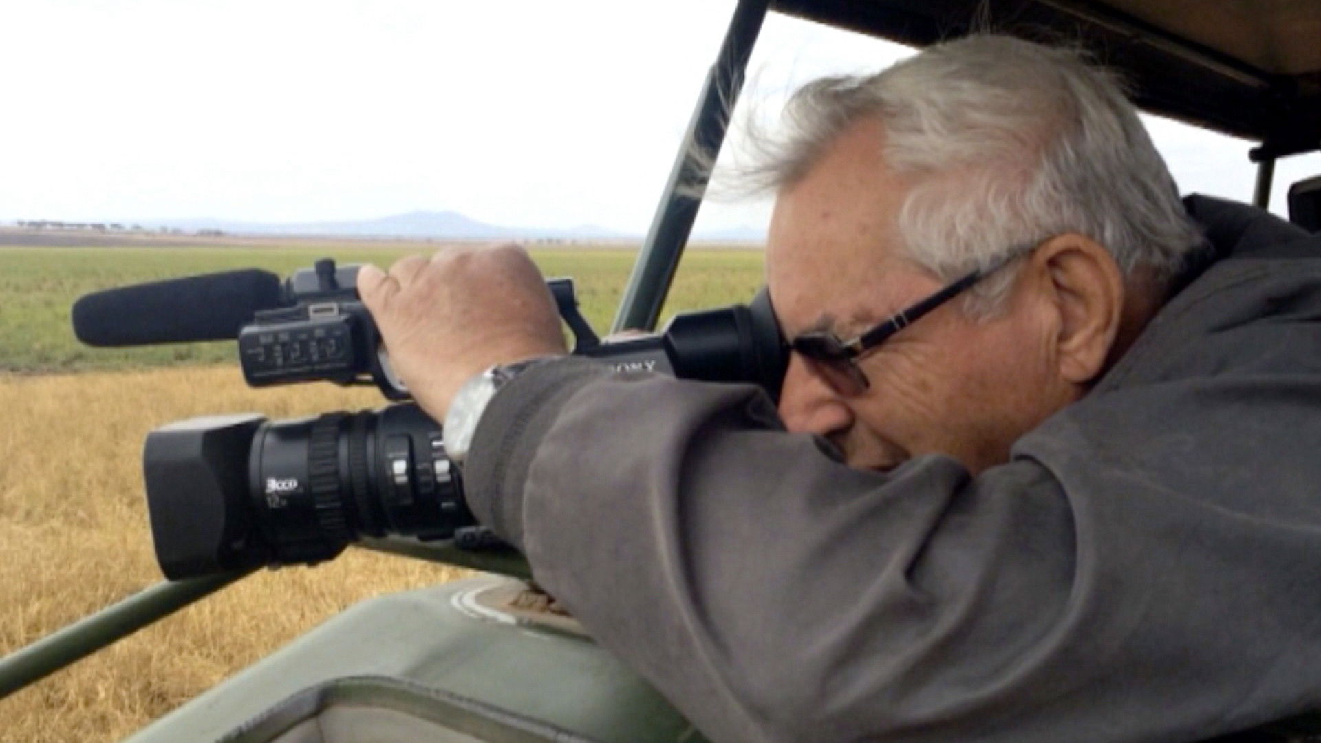 Backdrop for Stories from the Savannah: A Journey to Tanzania