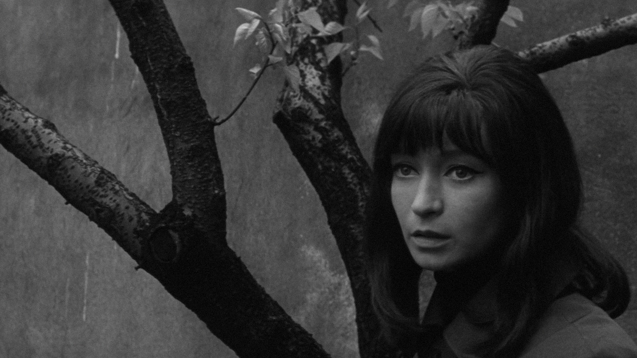 Backdrop for Dita Saxová