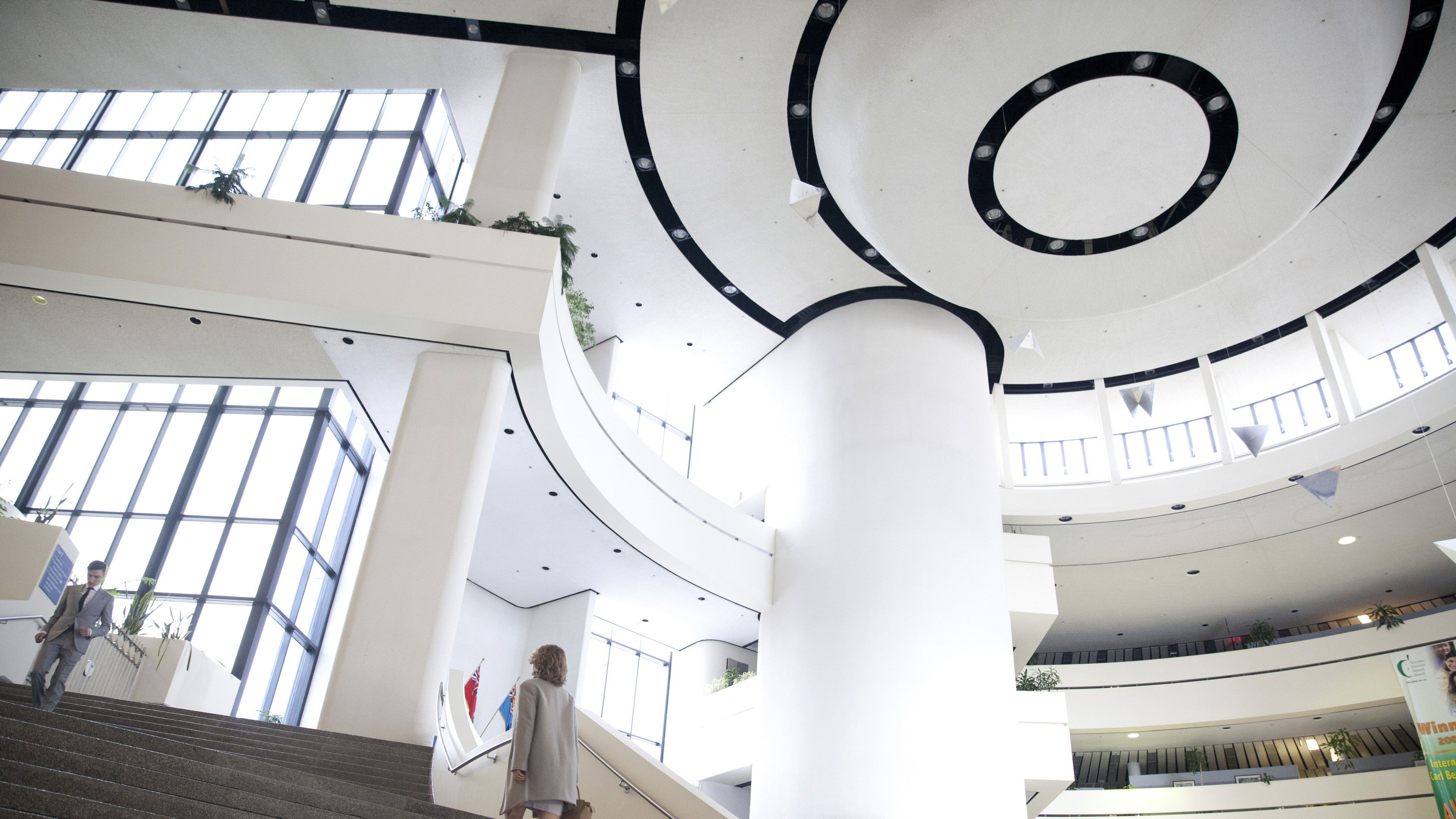 Backdrop for Tomorrow's Shadows