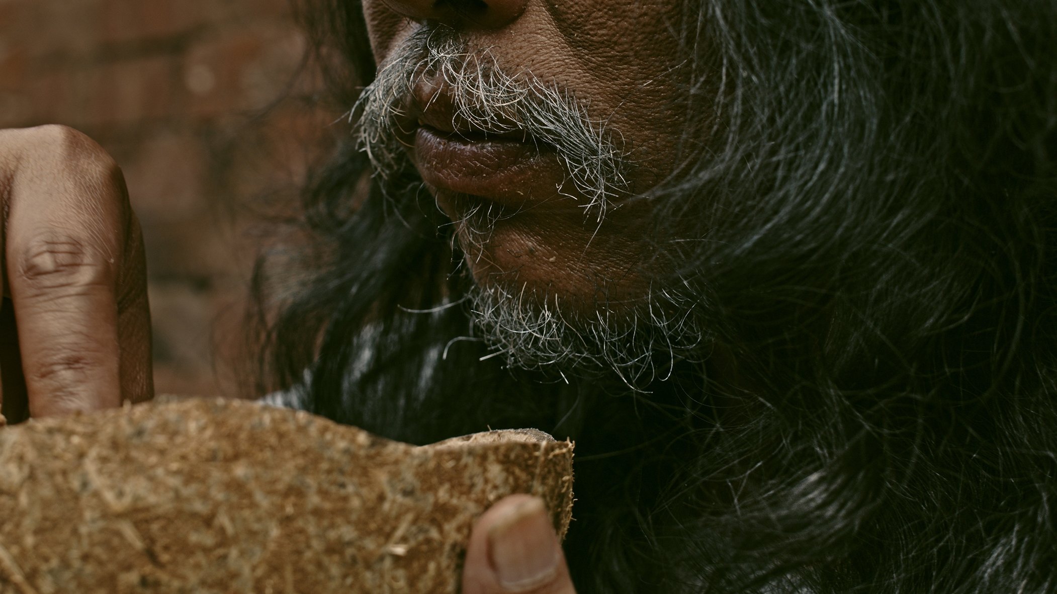 Backdrop for Harbinger