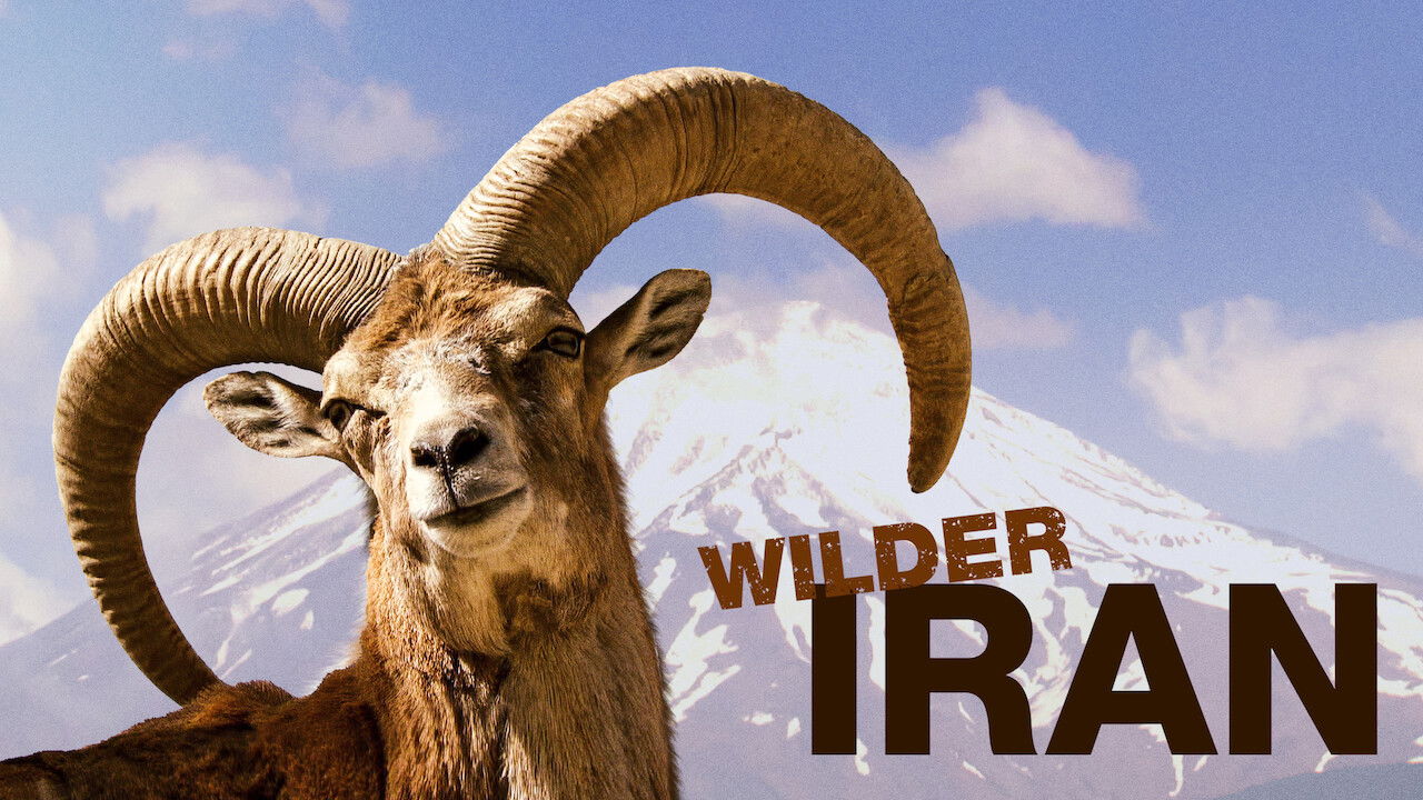 Backdrop for Wild Iran