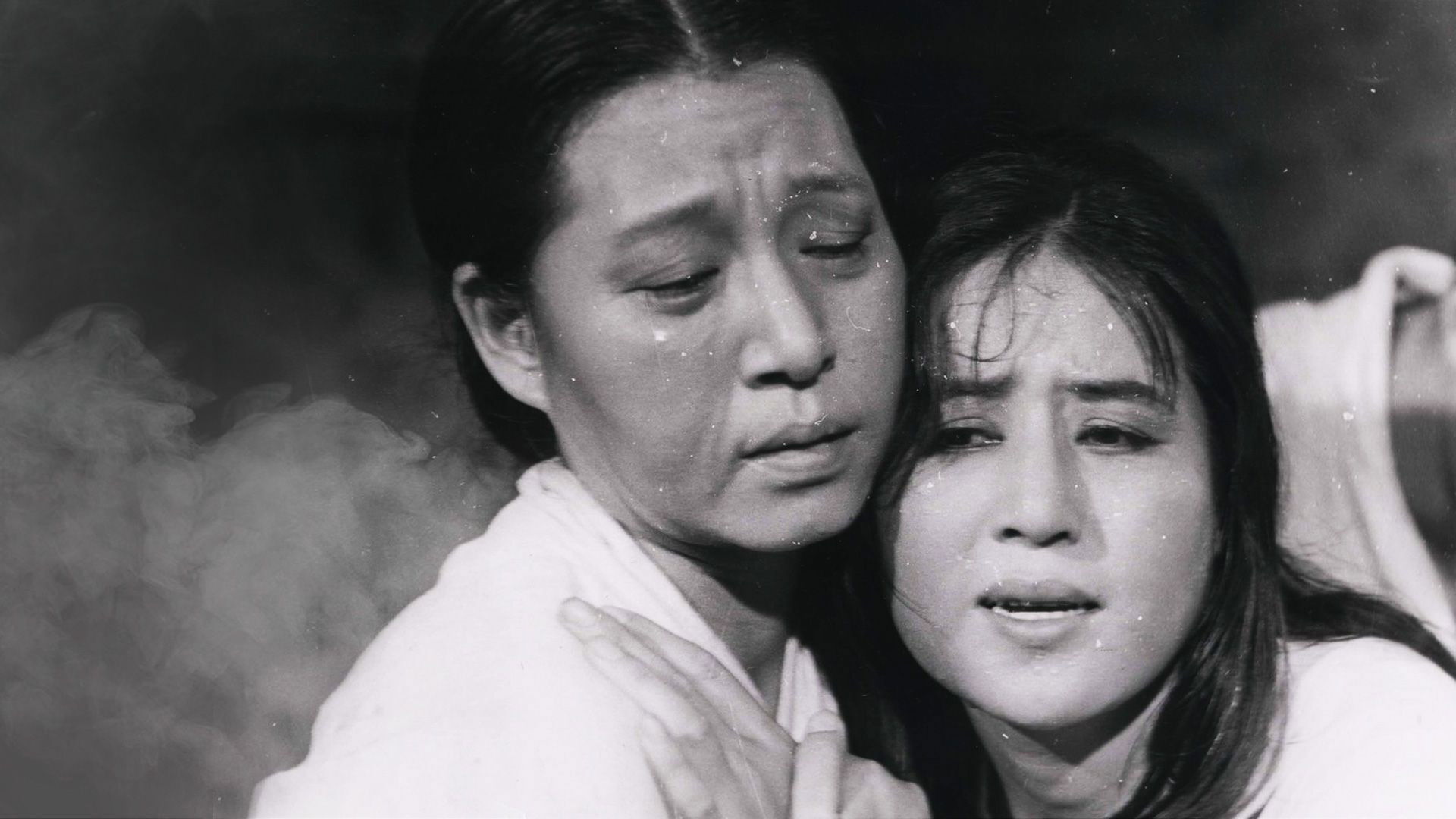 Backdrop for The Evergreen