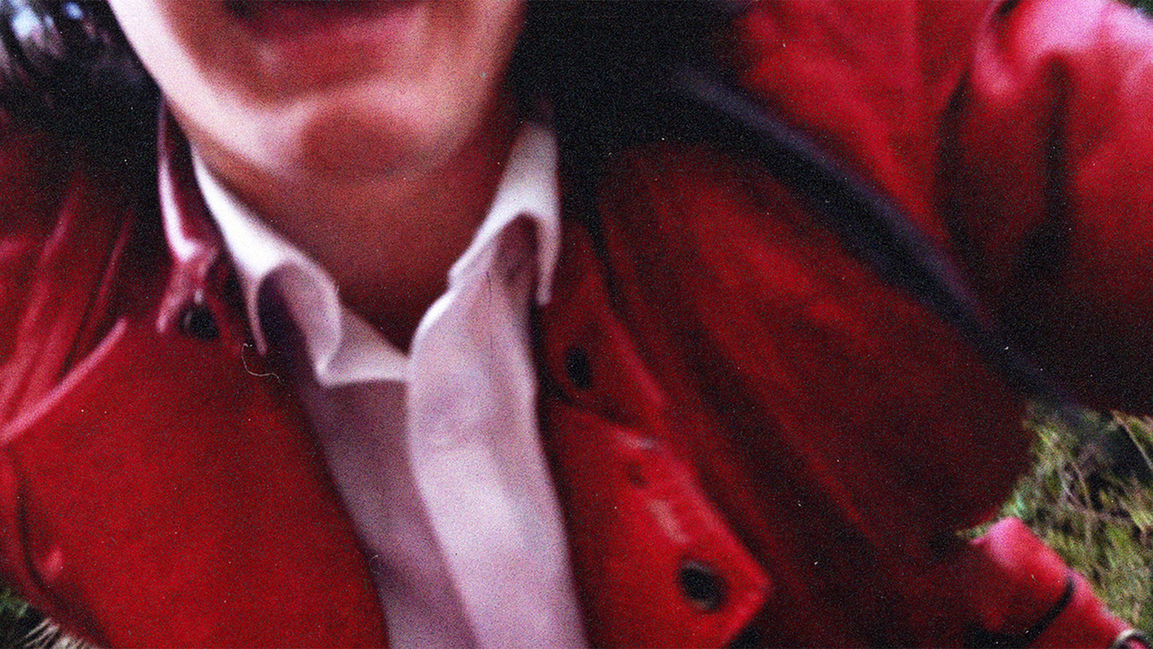 Backdrop for The Lost Truth of Michael Jackson