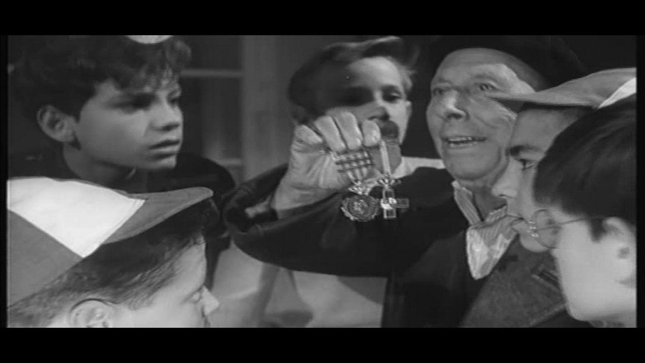 Backdrop for Perro golfo