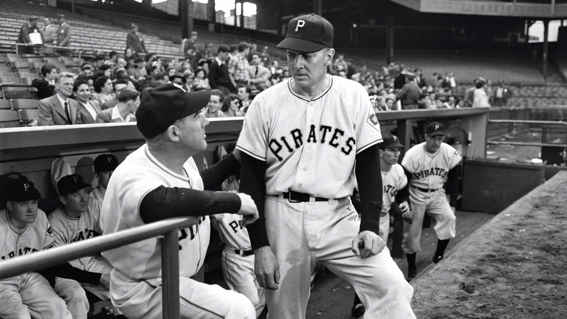Backdrop for Angels in the Outfield