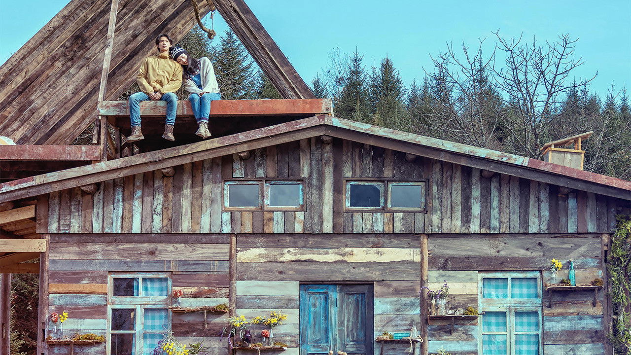 Backdrop for Your World Without Me