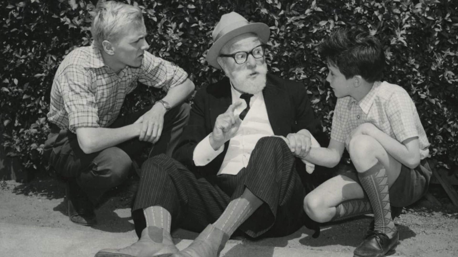 Backdrop for Father of Four: The Whole Shebang