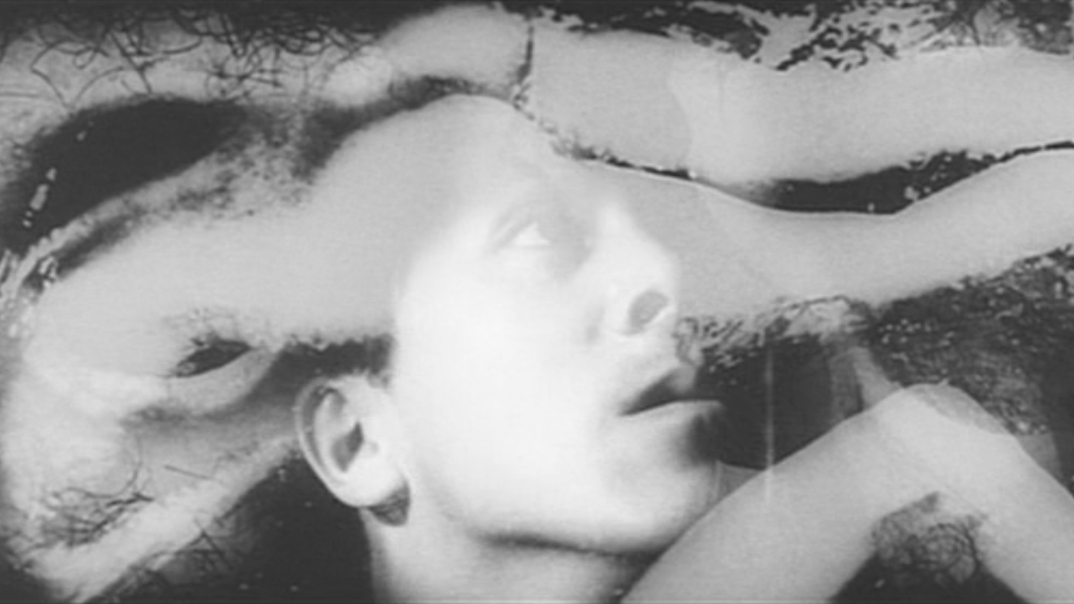 Backdrop for The Embryo Hunts in Secret