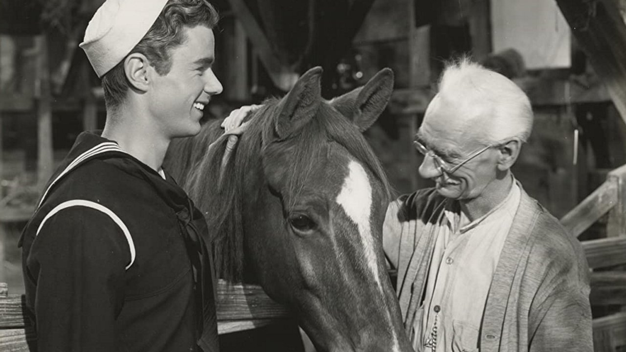 Backdrop for Gallant Bess