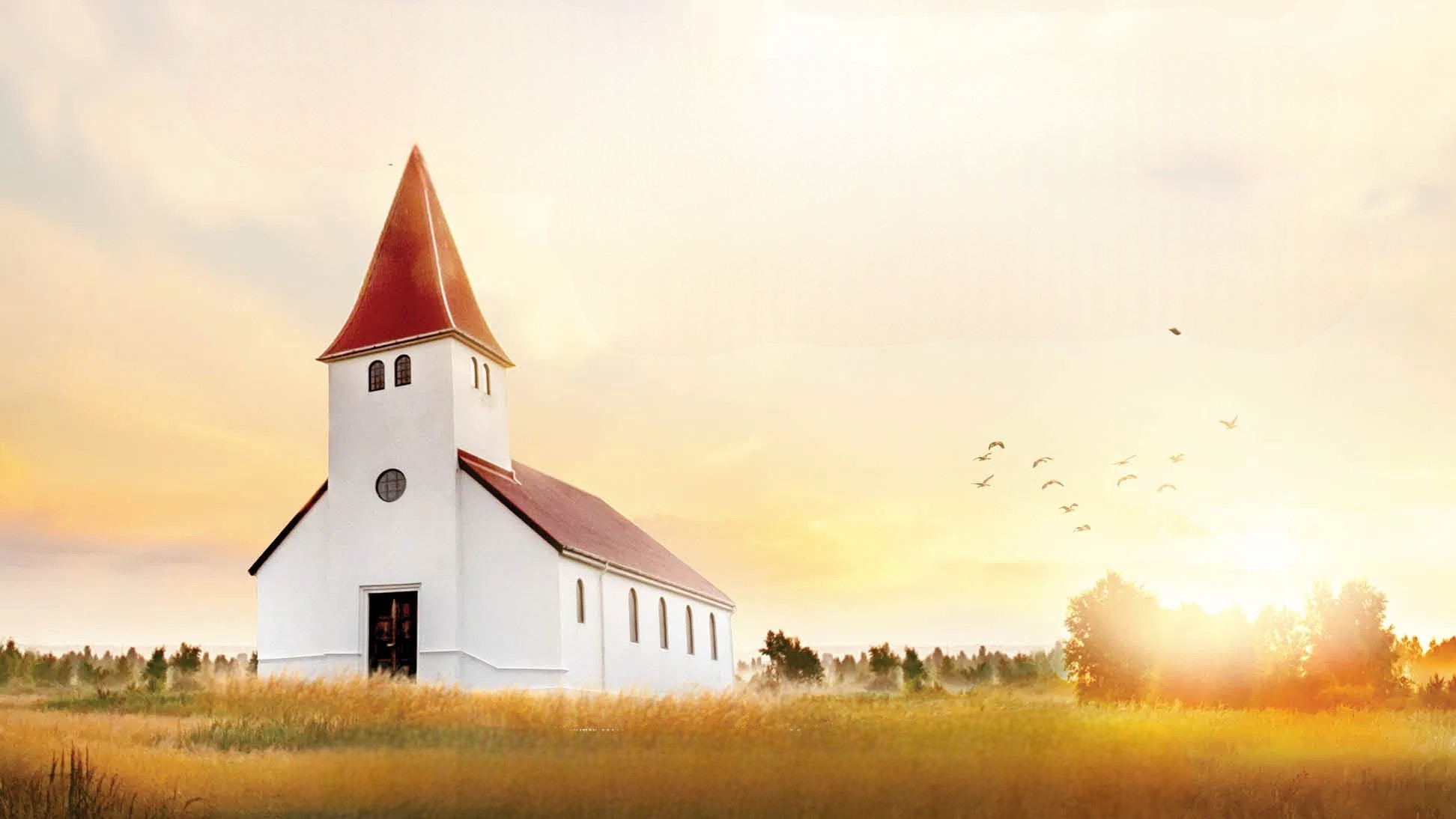 Backdrop for A Carpenter's Prayer