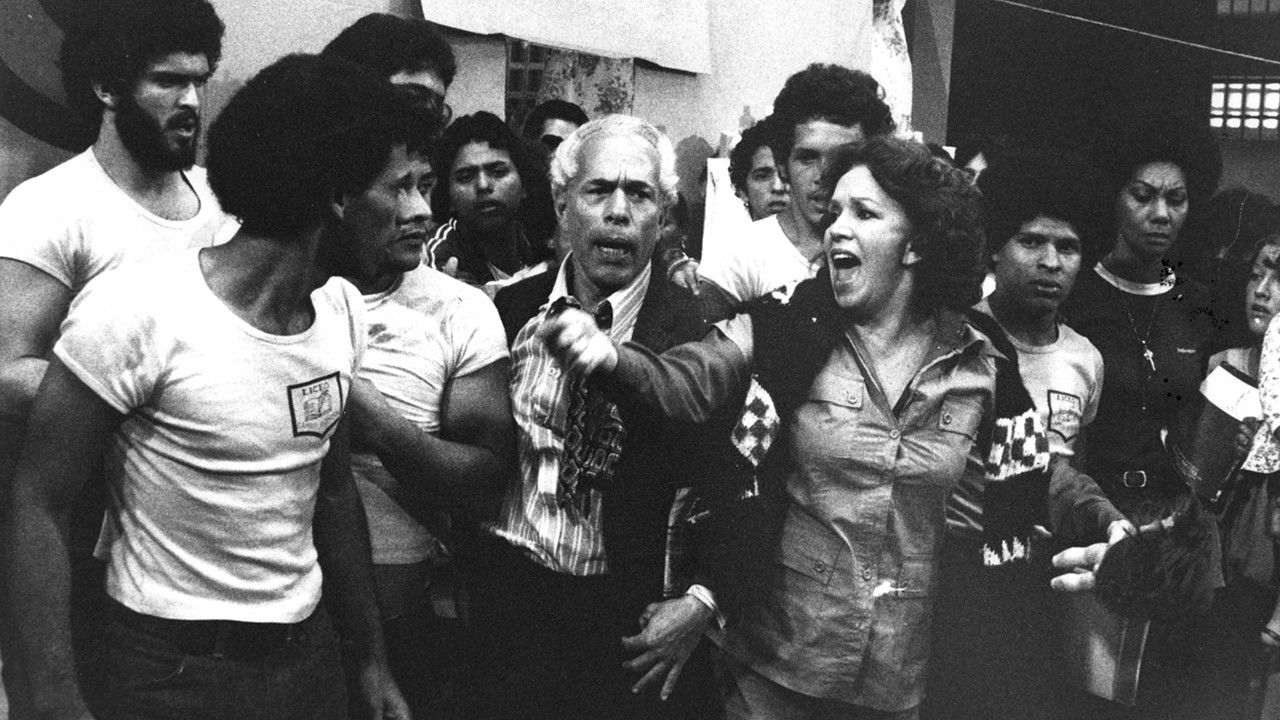 Backdrop for The Flock of Angels