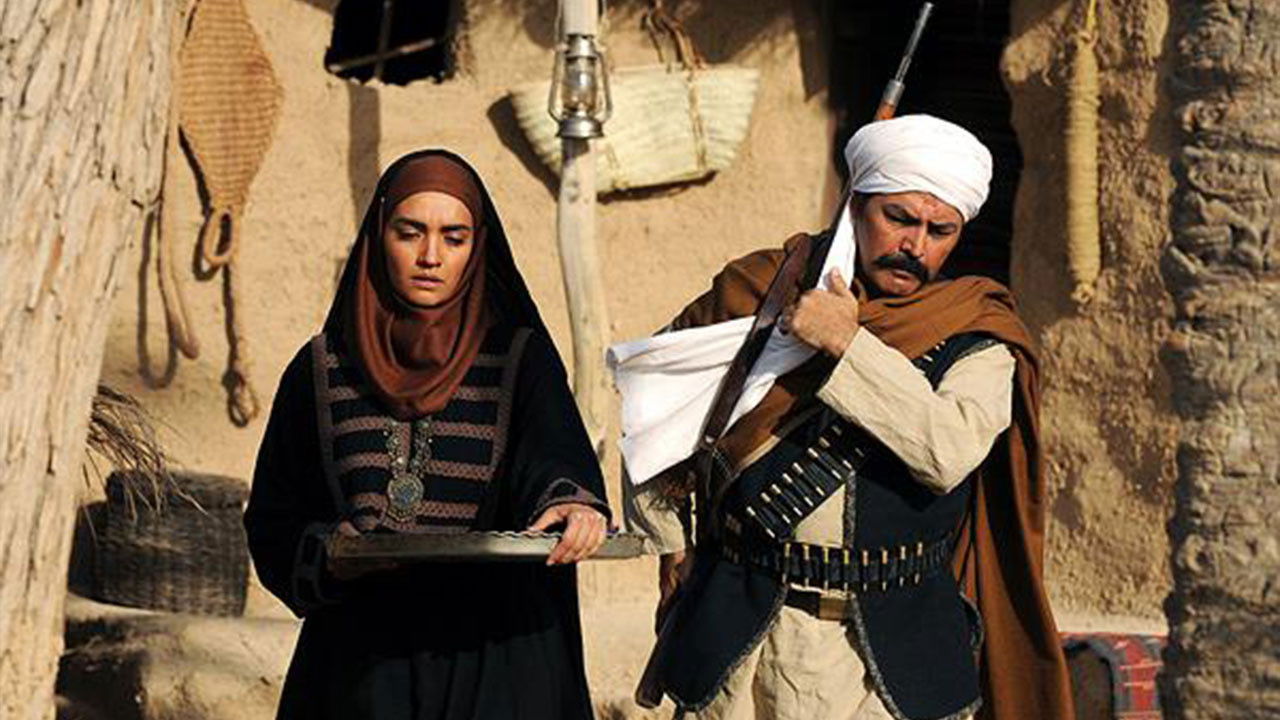 Backdrop for Soil & Fire