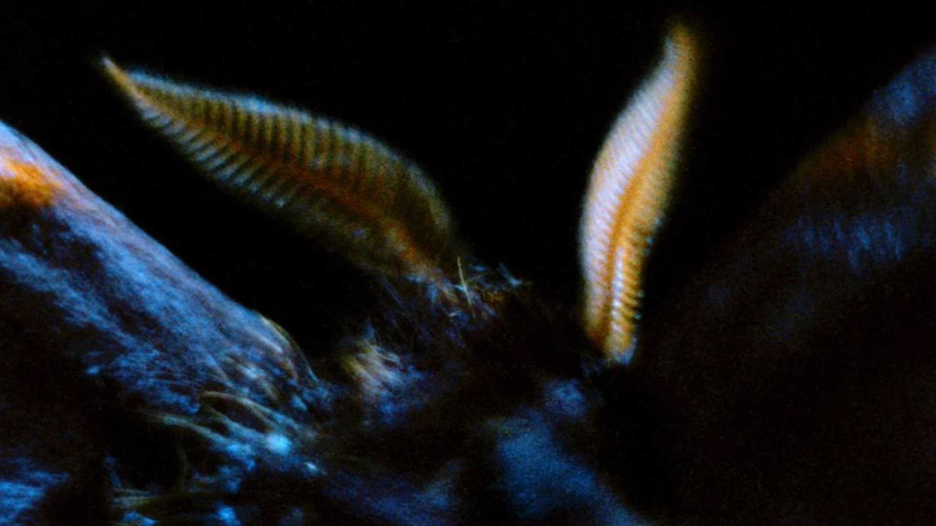 Backdrop for When We Encounter the World