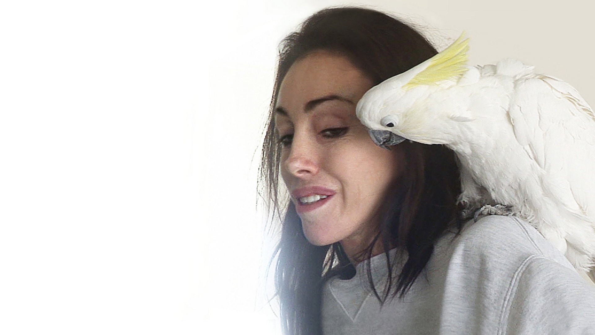 Backdrop for Heidi Fleiss: The Would-be Madam of Crystal