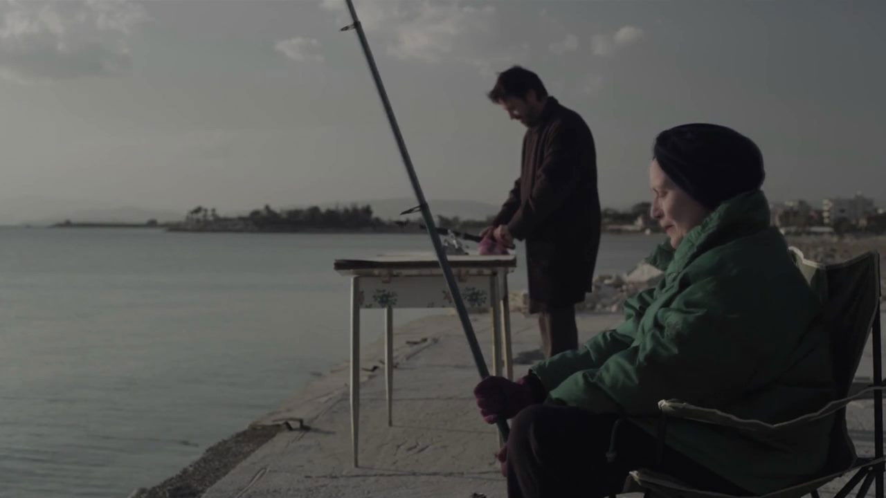 Backdrop for Wild Duck