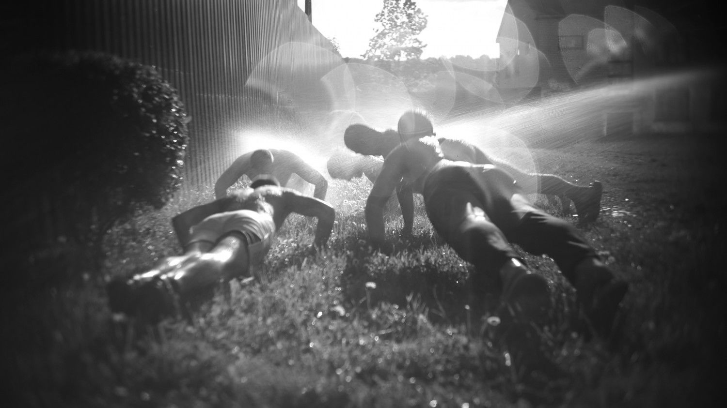 Backdrop for Bogdanas Longs to Stay