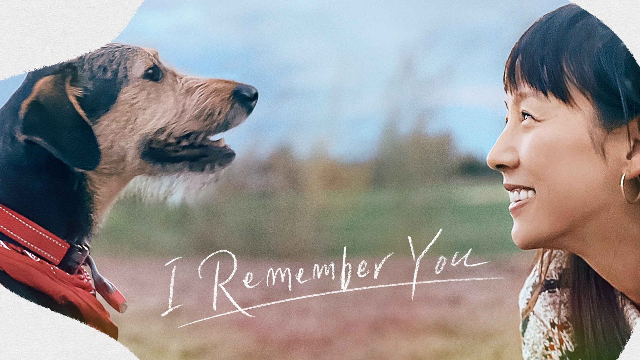 Backdrop for Canada Check-in