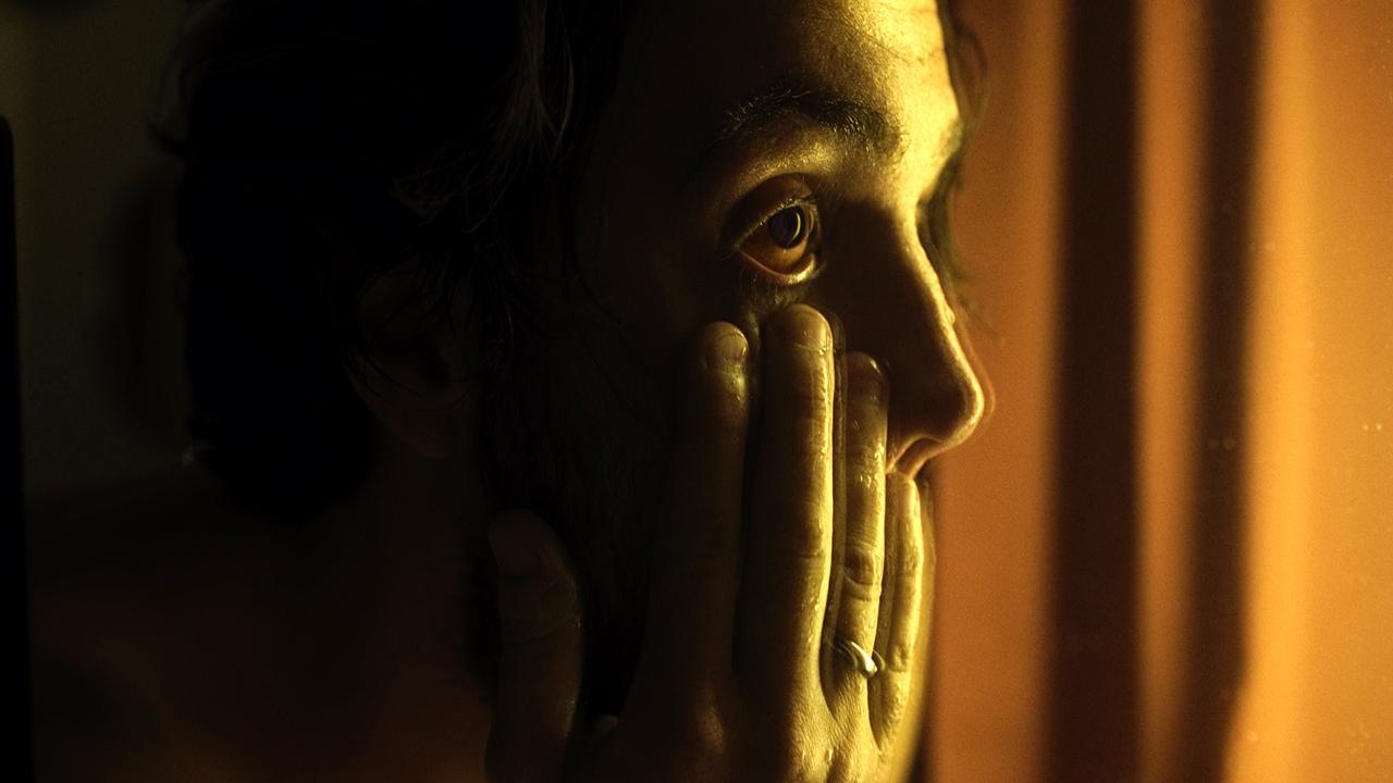 Backdrop for Metamorphosis